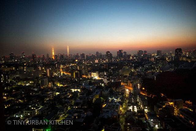 Tokyo Skyline view from Westin Tokyo