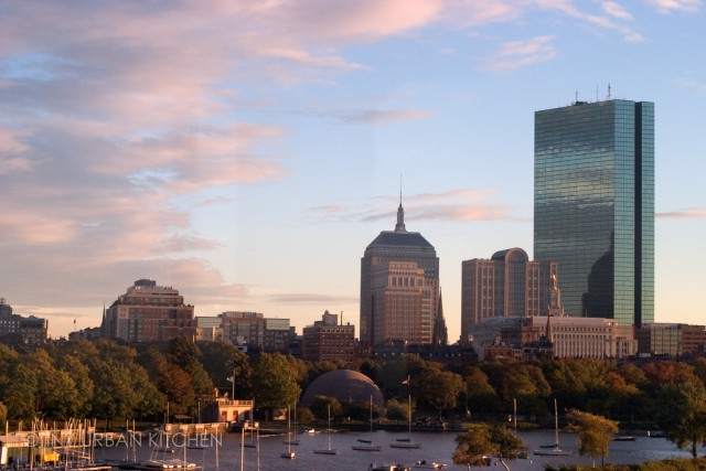 top restaurants to visit in Boston
