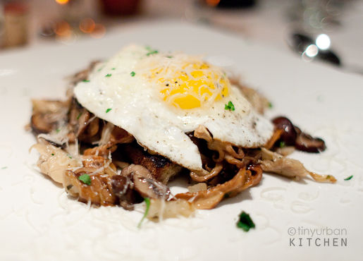 Wild Foraged Mushrooms with fried egg
