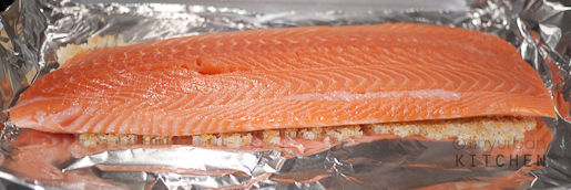 salmon + salt citrus