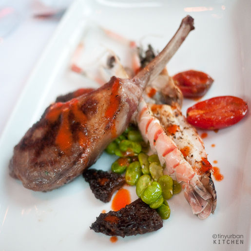 RACK OF LAMB edamame ragu with morel mushrooms,  oven roasted baby tomatoes and GRILLED LANGOUSTINE
