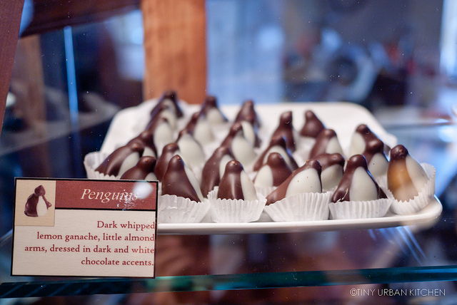 chocolate penguins