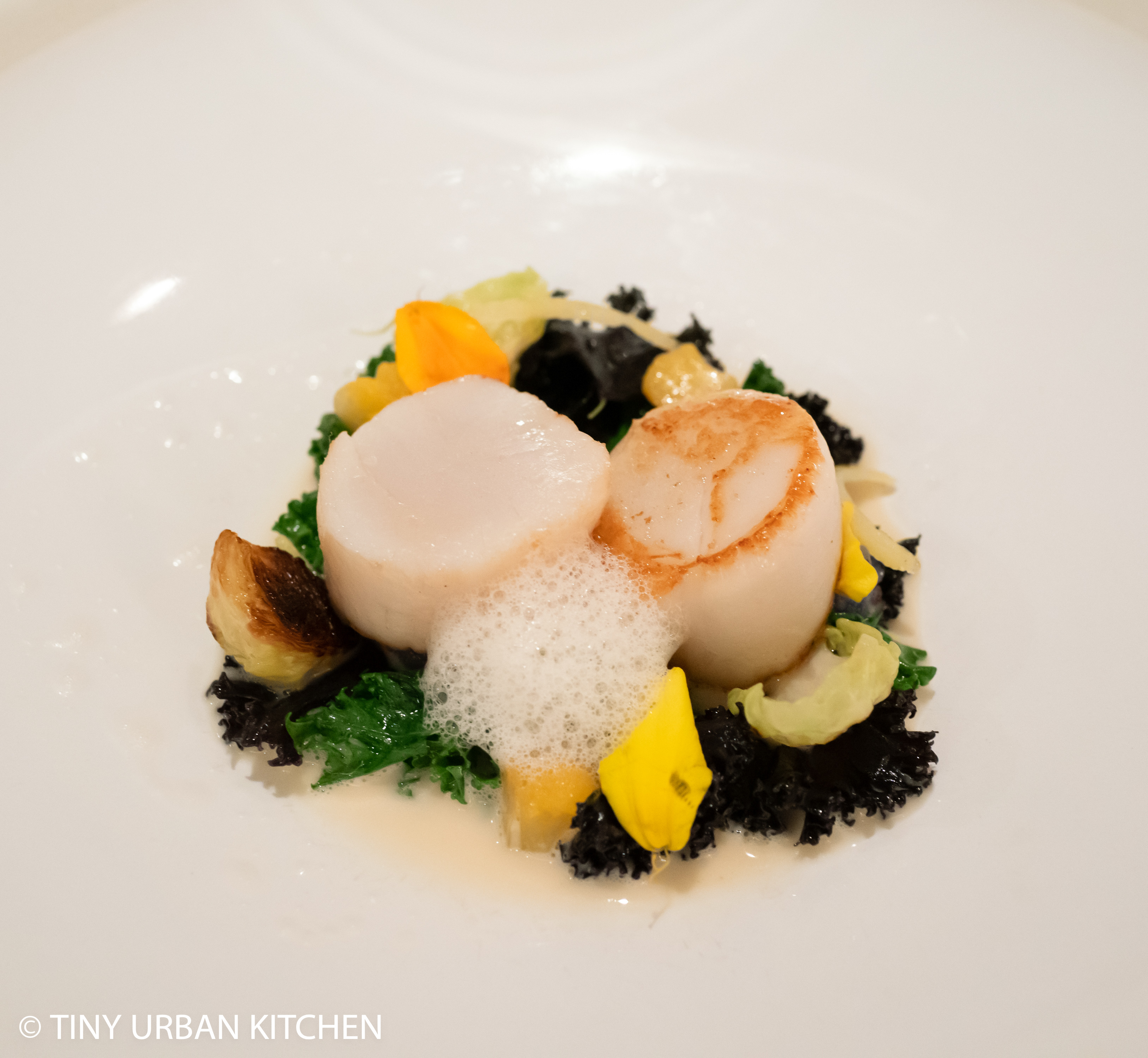 scallop nicely rare