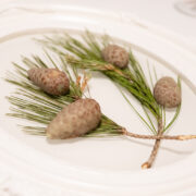 Pinetrees and Pine Cones (choclate, not actual pine cones!)