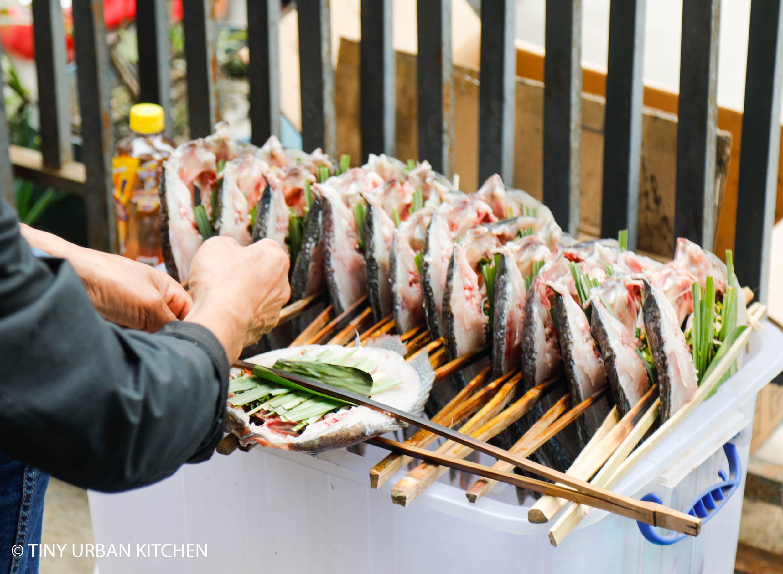 Xishuangbanna Yunnan China