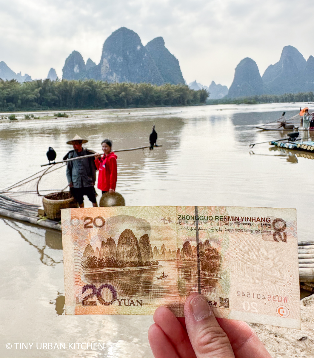 Cormorant Fisherman and 20RMB bill
in Yangshuo China
