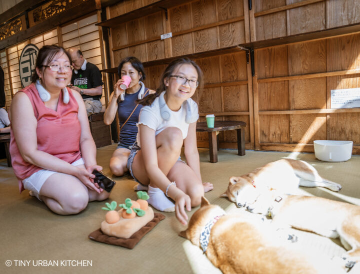 Harakuju Shiba Inu Cafe Tokyo