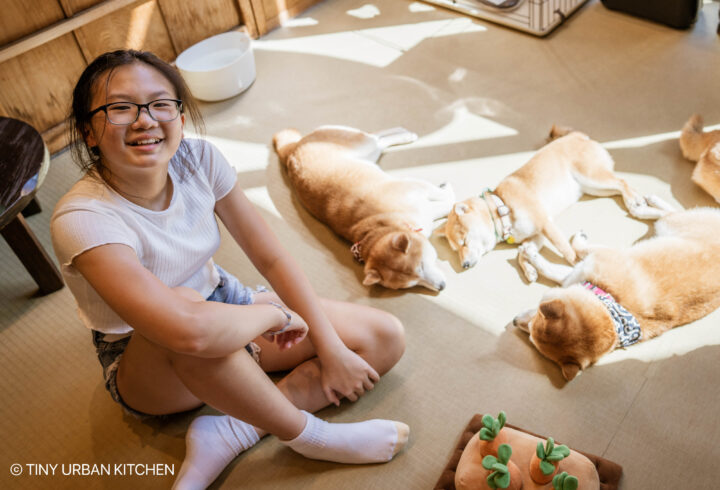 Harakuju Shiba Inu Cafe Tokyo