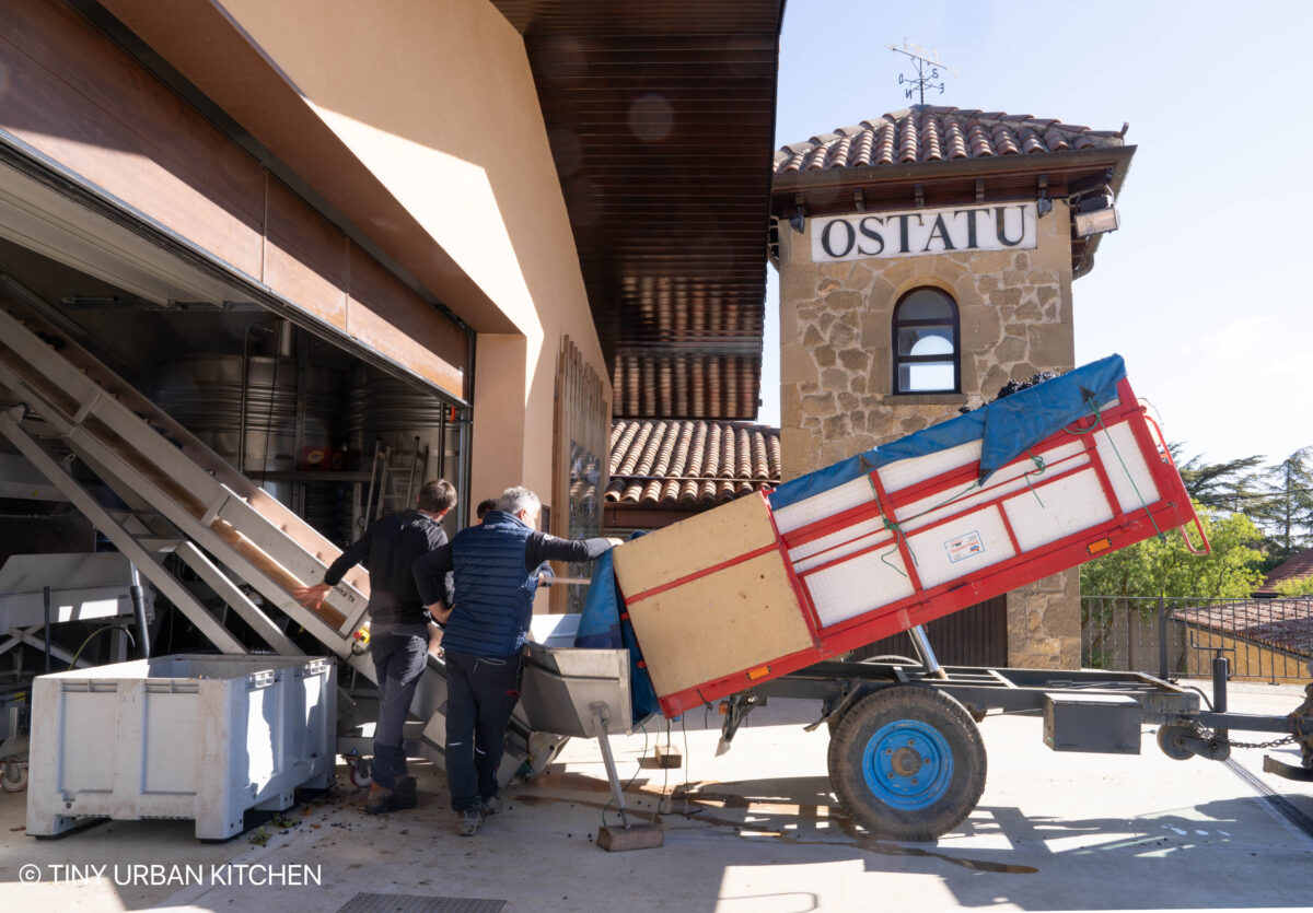 Ostatu Winery Rioja Spain