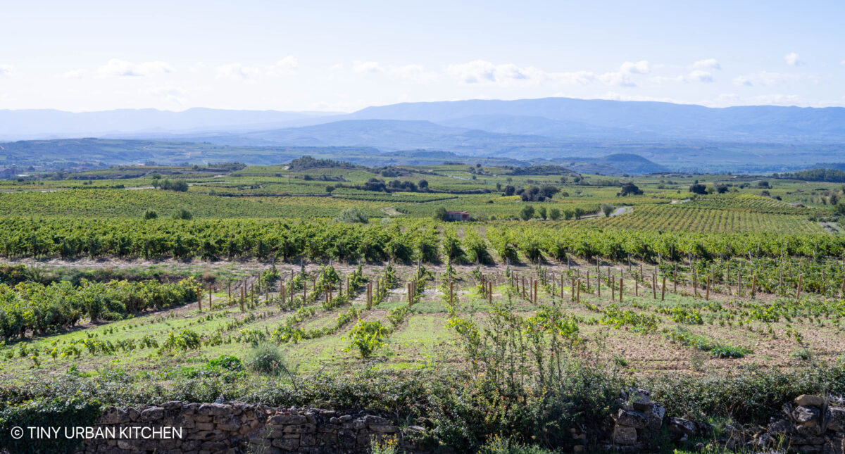 Ostatu Winery Rioja Spain