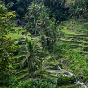 Ubud Bali Indonesia