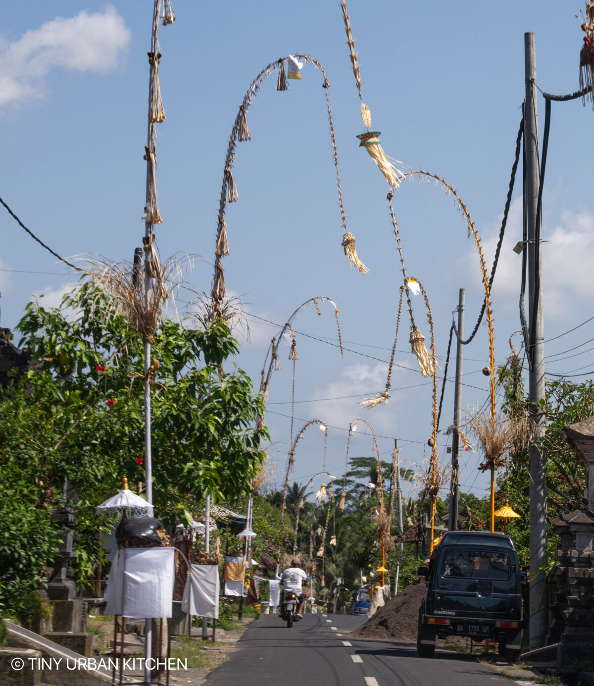 Ubud Bali Indonesia