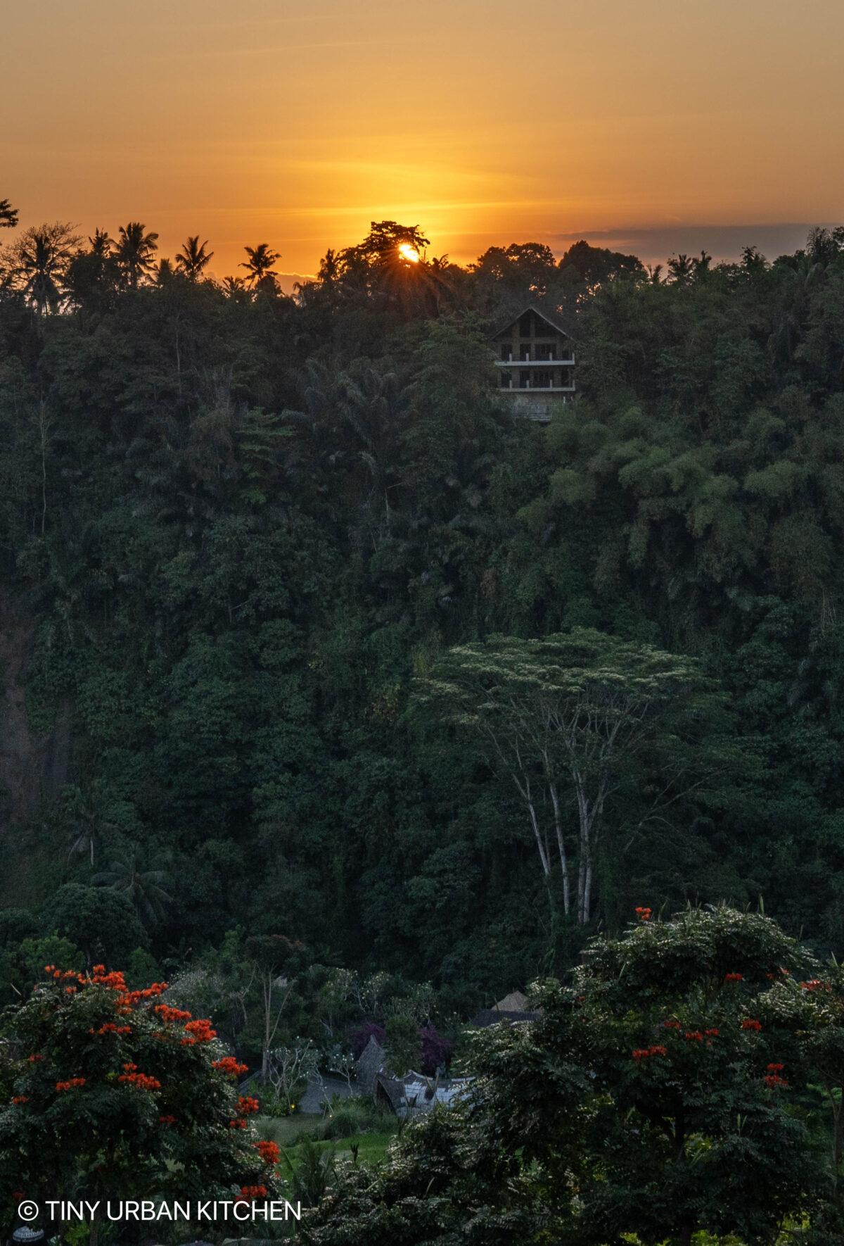 Ubud Bali Indonesia