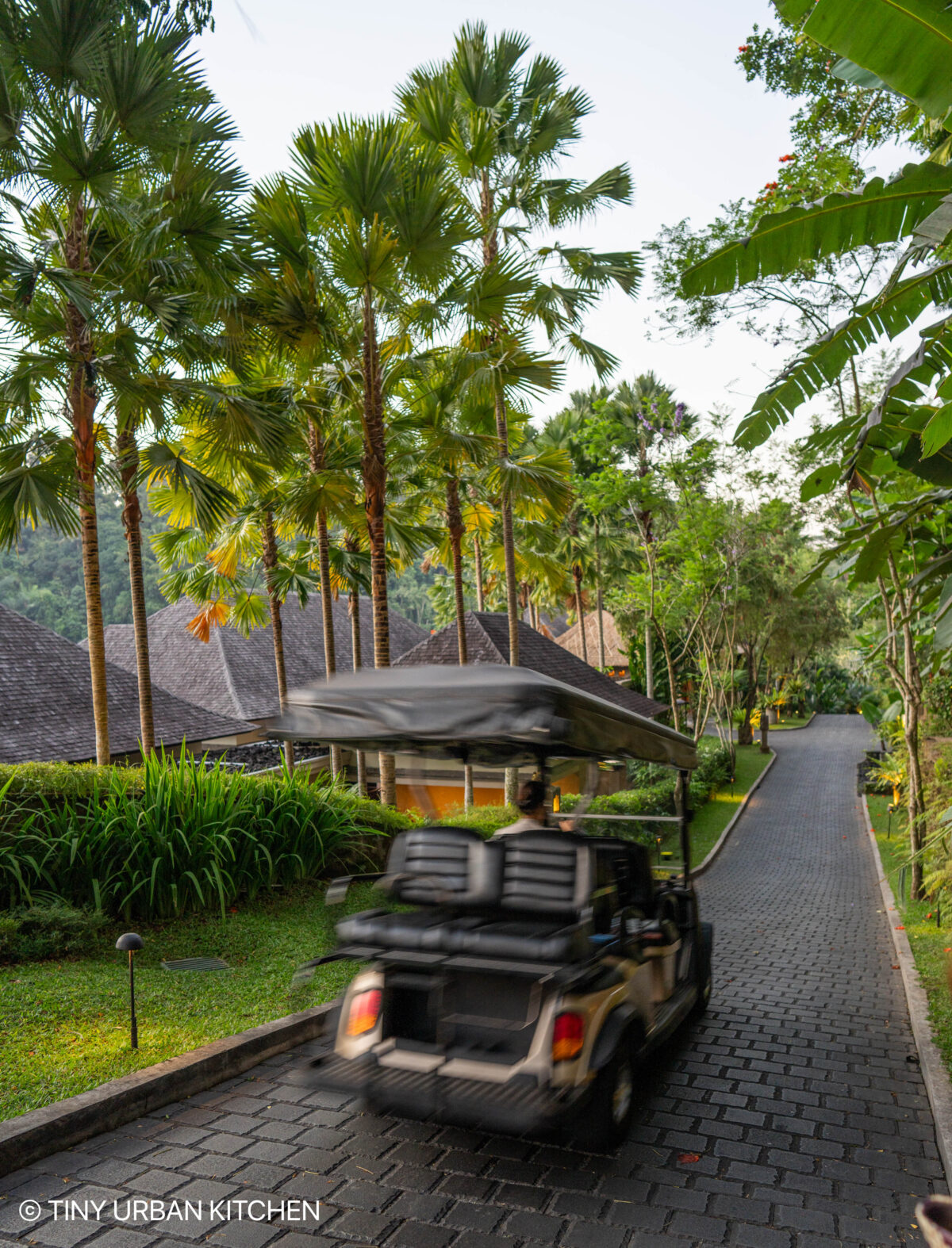 Ubud Bali Indonesia