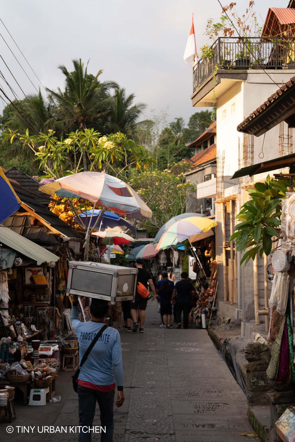 Ubud Bali Indonesia