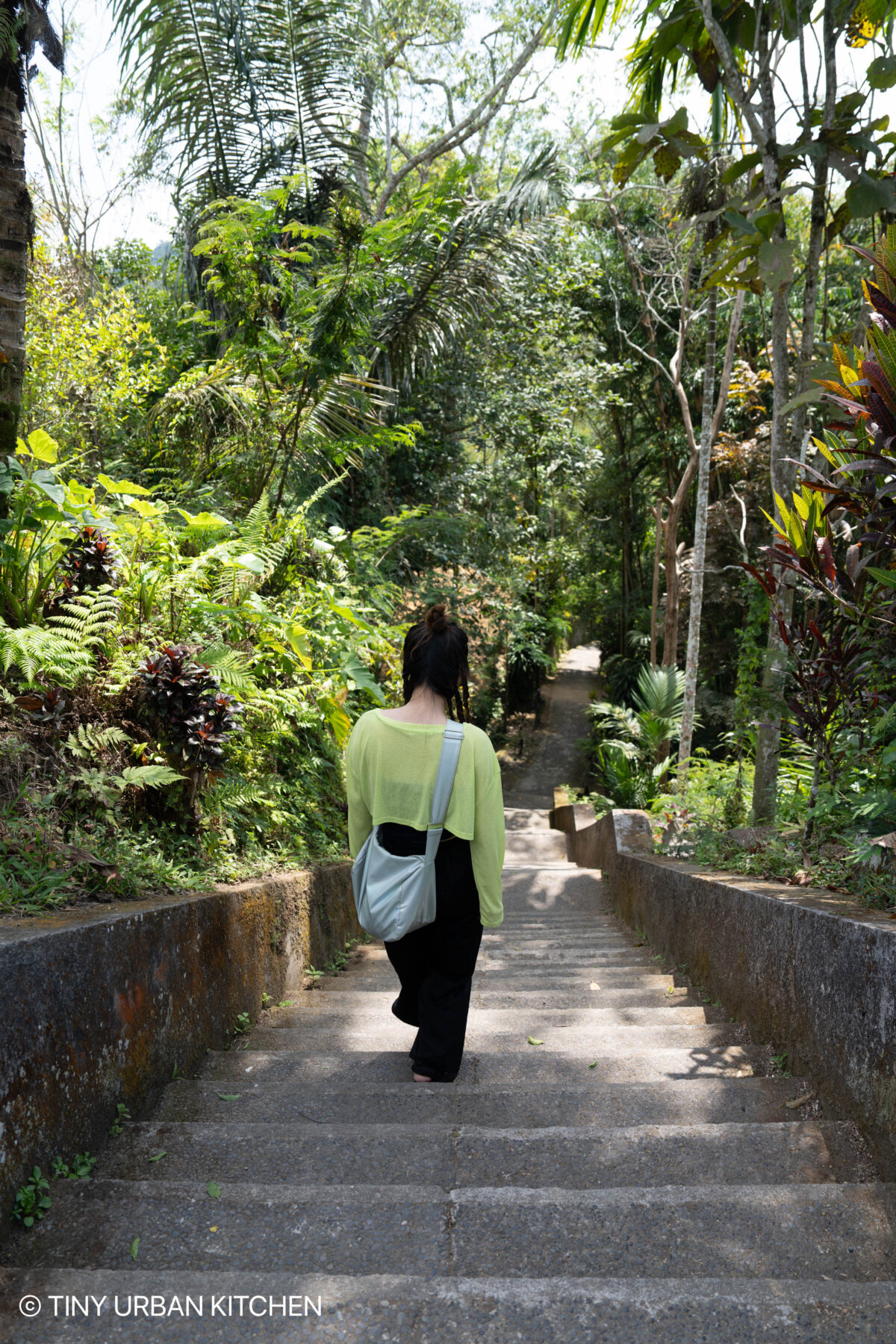 Ubud Bali IndonesiaNungnung Falls Bali Indonesia 