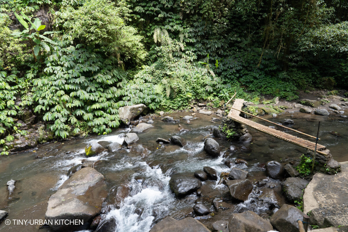 Ubud Bali Indonesia