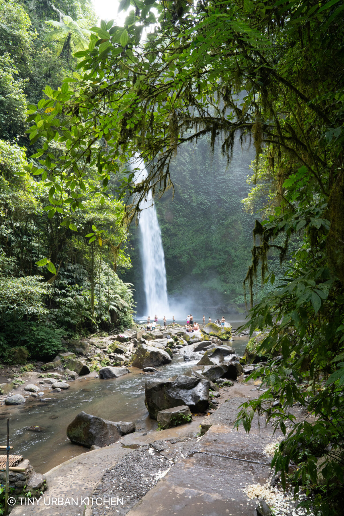 Nungnung Falls Bali Indonesia Ubud Bali Indonesia