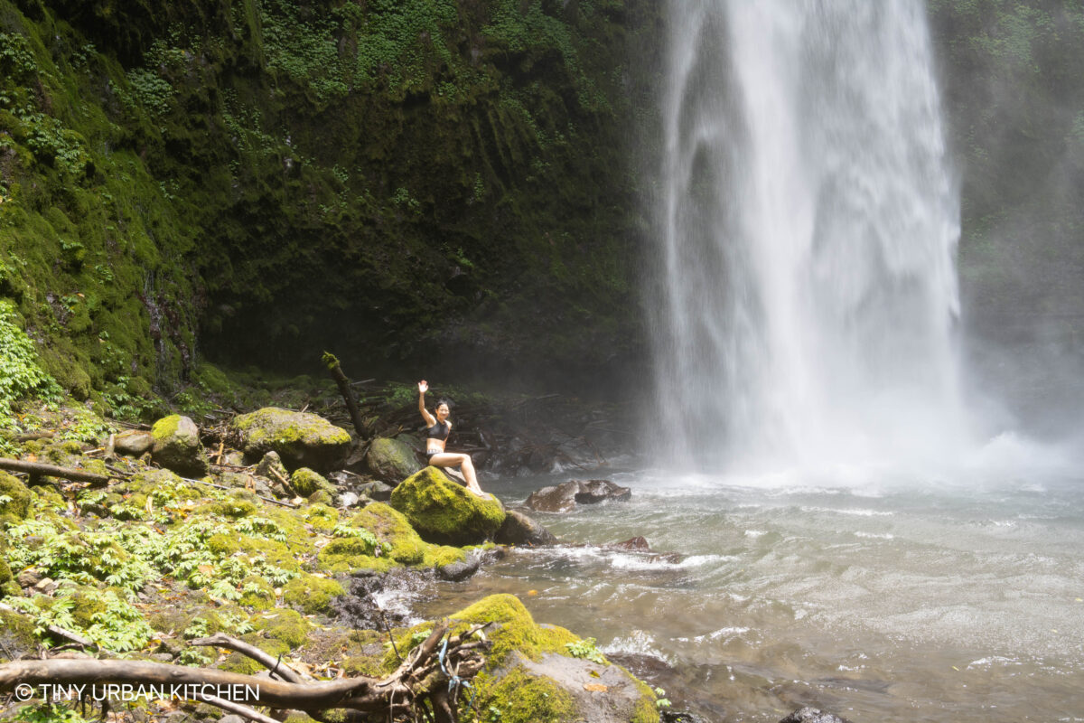 Nungnung Falls Bali Indonesia Ubud Bali Indonesia