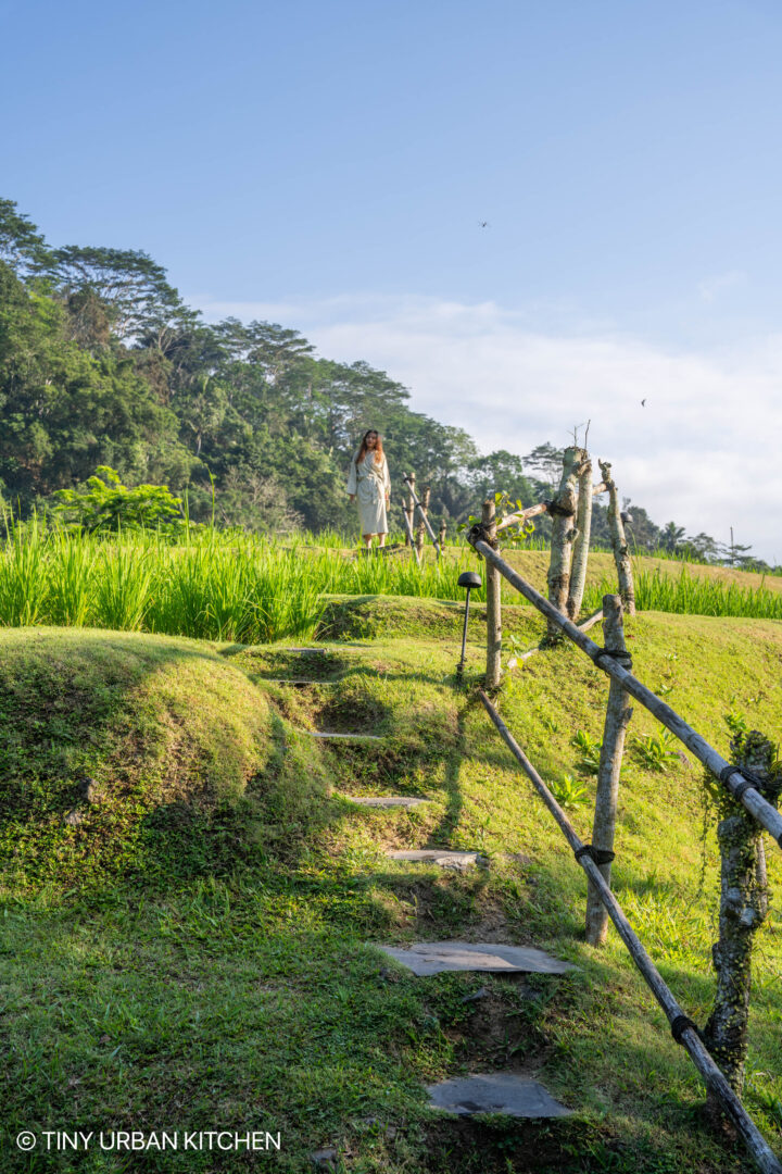 Ubud Bali Indonesia