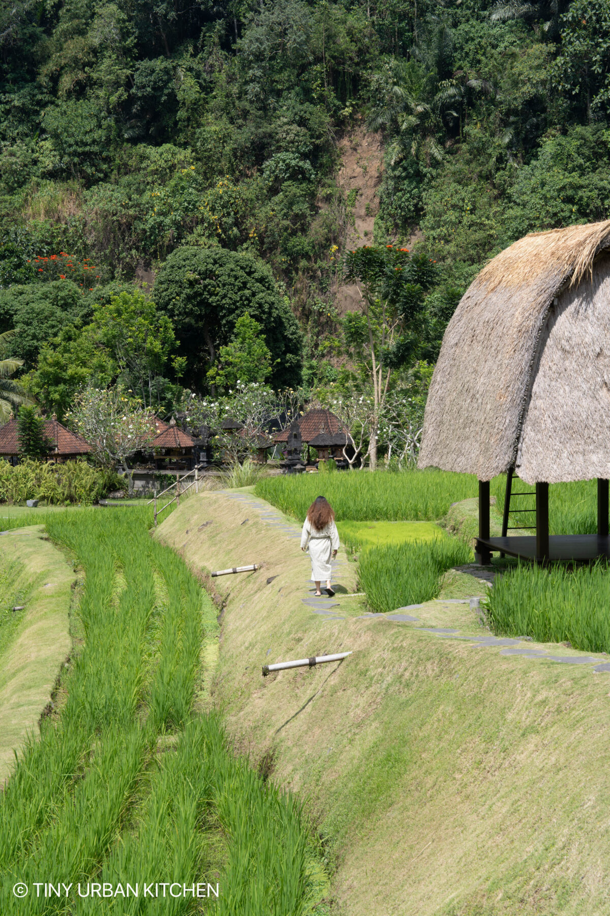 Ubud Bali Indonesia