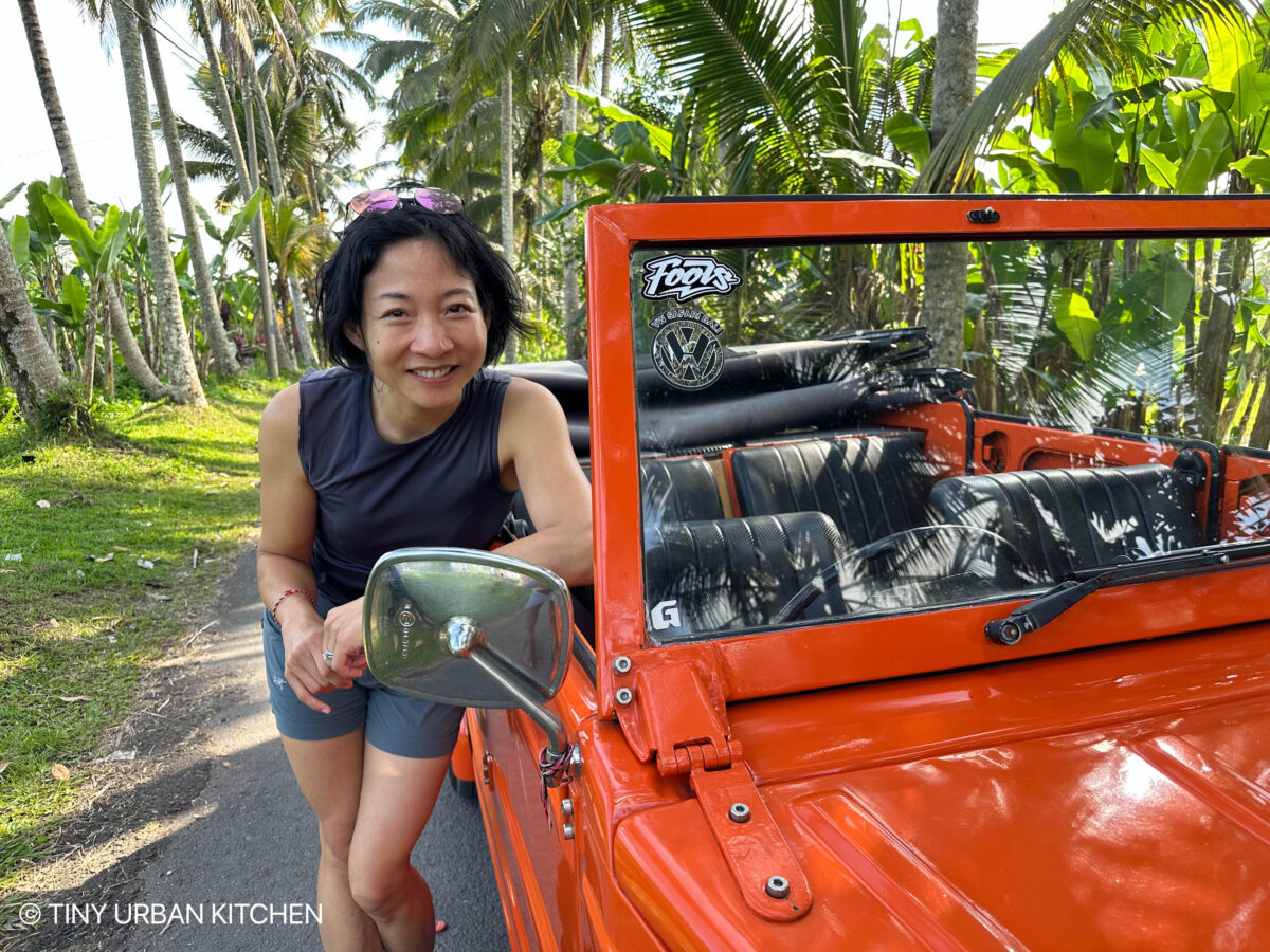 Ubud, Bali, Indonesia Classic-Volkswagon Vintage Tour