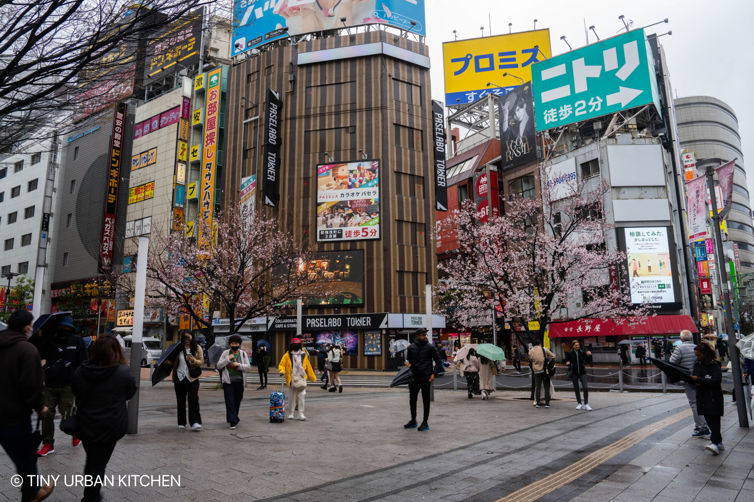 Shinjuku Hoshi no naru Ki Tokyo