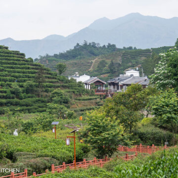 Qipan Ecological Tea Garden in Fenghuang Mountain Area
棋盘生态茶园 (鳳凰山）