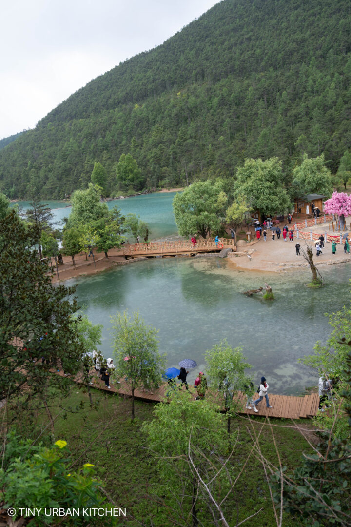 Blue Moon Valley 藍月谷 Lijiang China