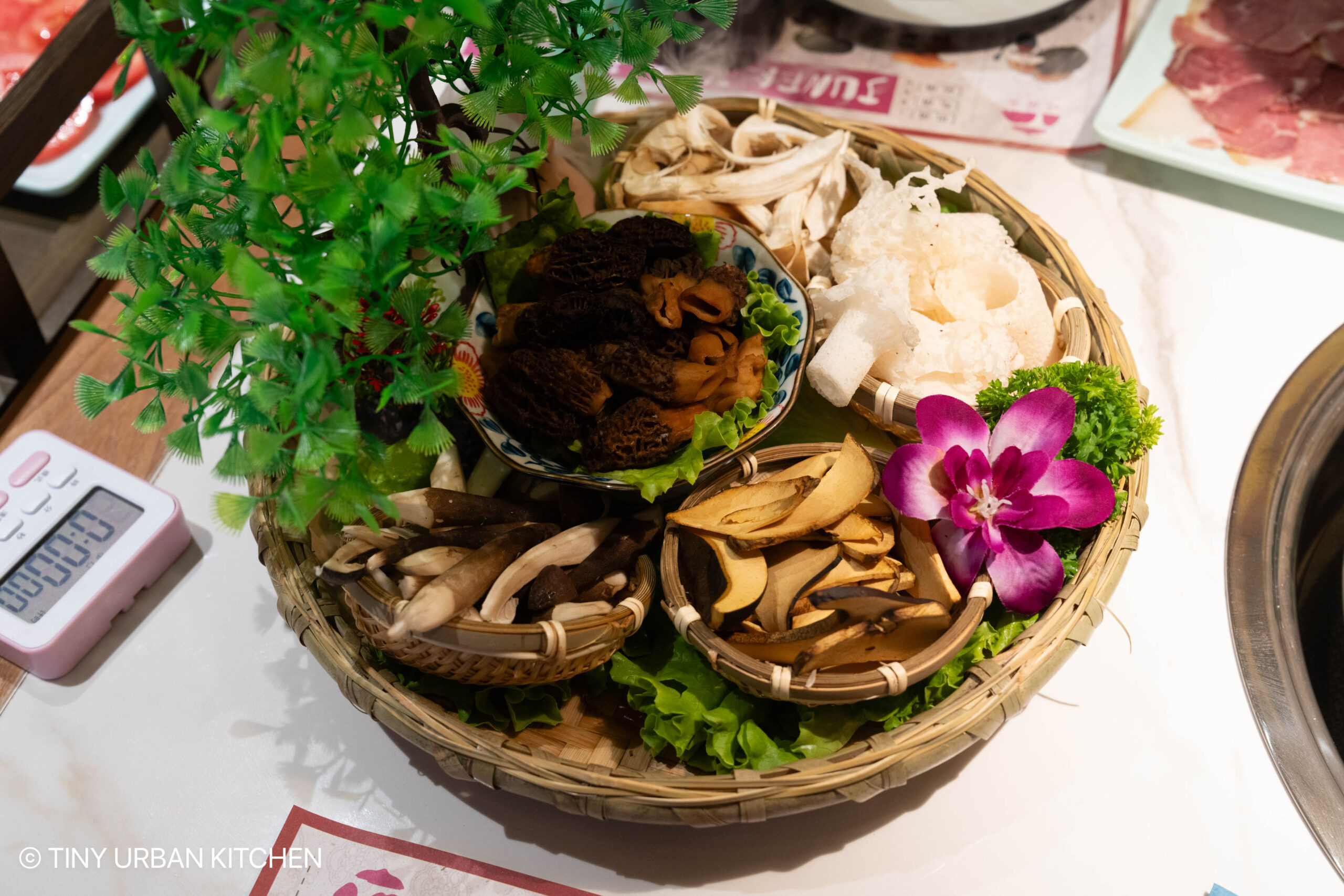 吃菌客：雲南野生菌火鍋 "Chi Jun Ke" Yunnan Mushroom hot pot Lijiang China