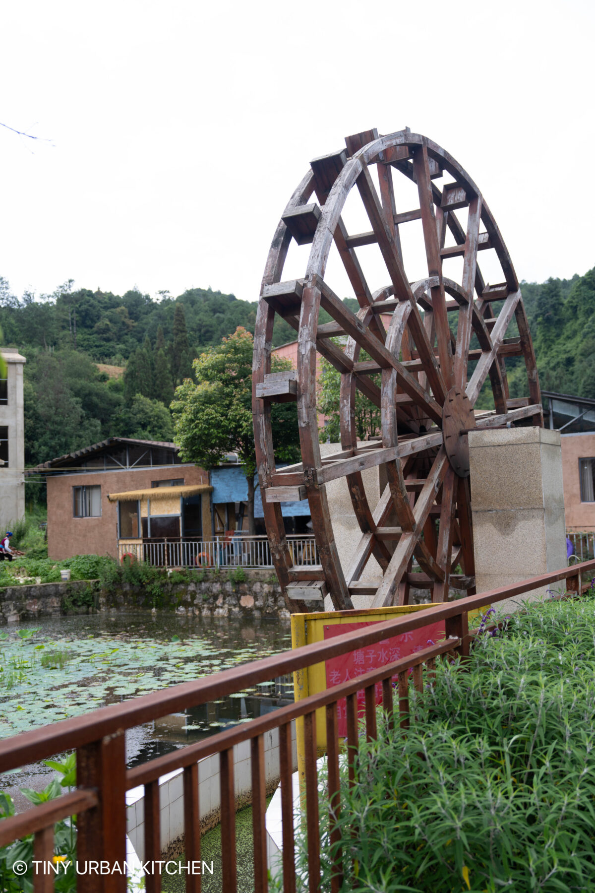 Yi Village - Da Mo Yu 大墨雨