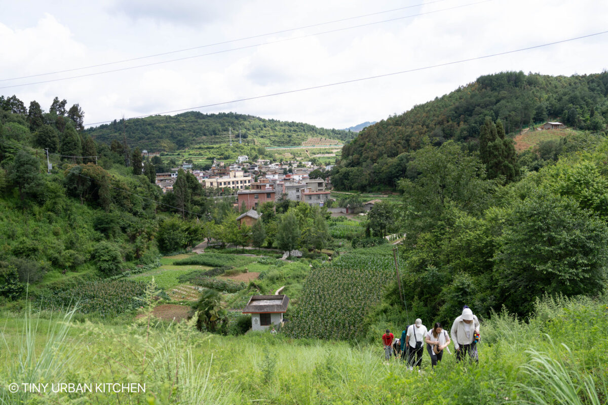 Yi Village - Da Mo Yu 大墨雨