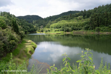 Yi Village - Da Mo Yu 大墨雨