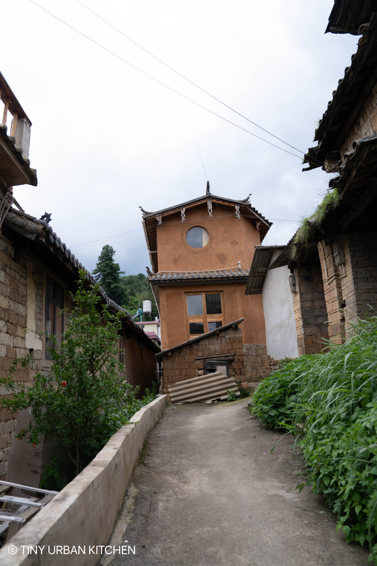 Yi Village - Da Mo Yu 大墨雨