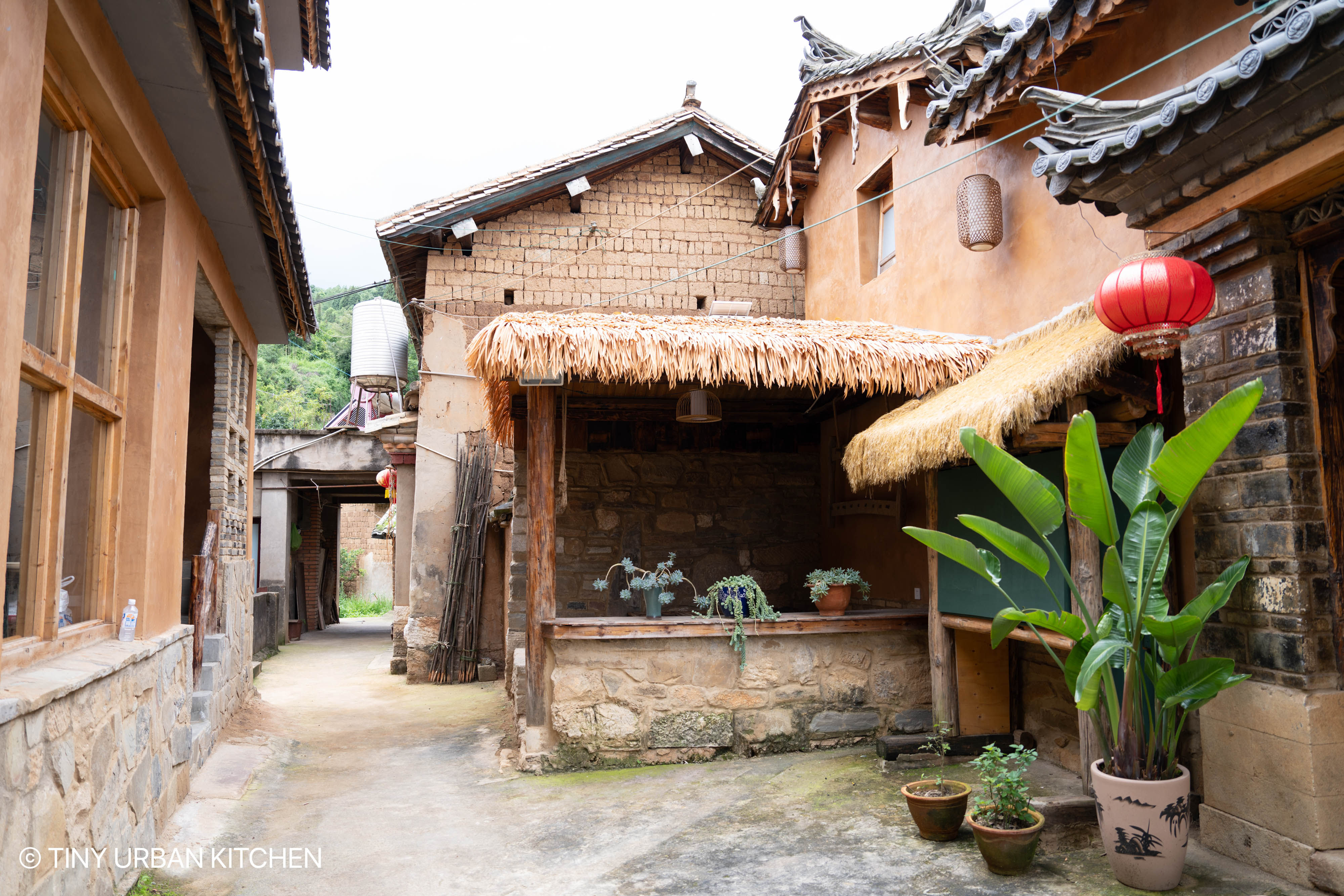 Yi Village - Da Mo Yu 大墨雨