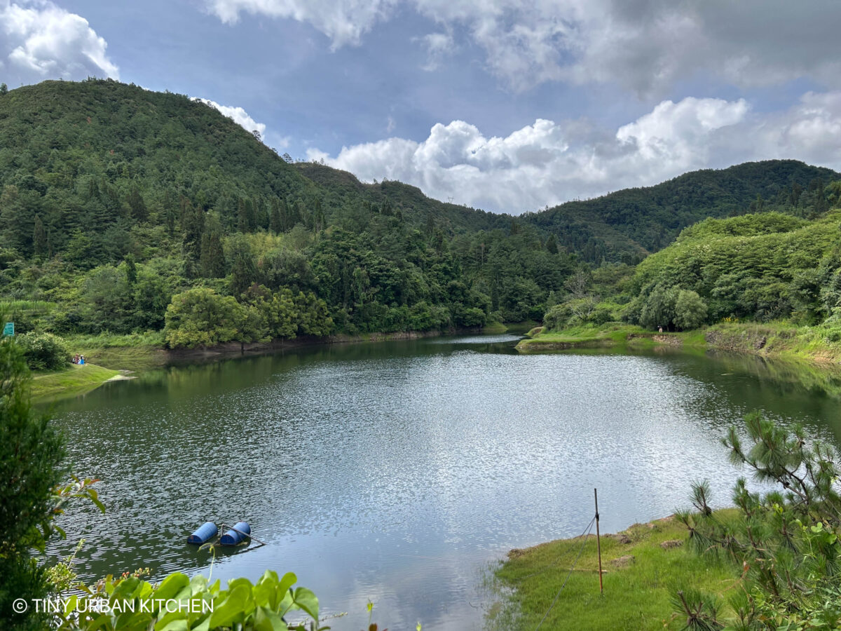 Yi Village - Da Mo Yu 大墨雨