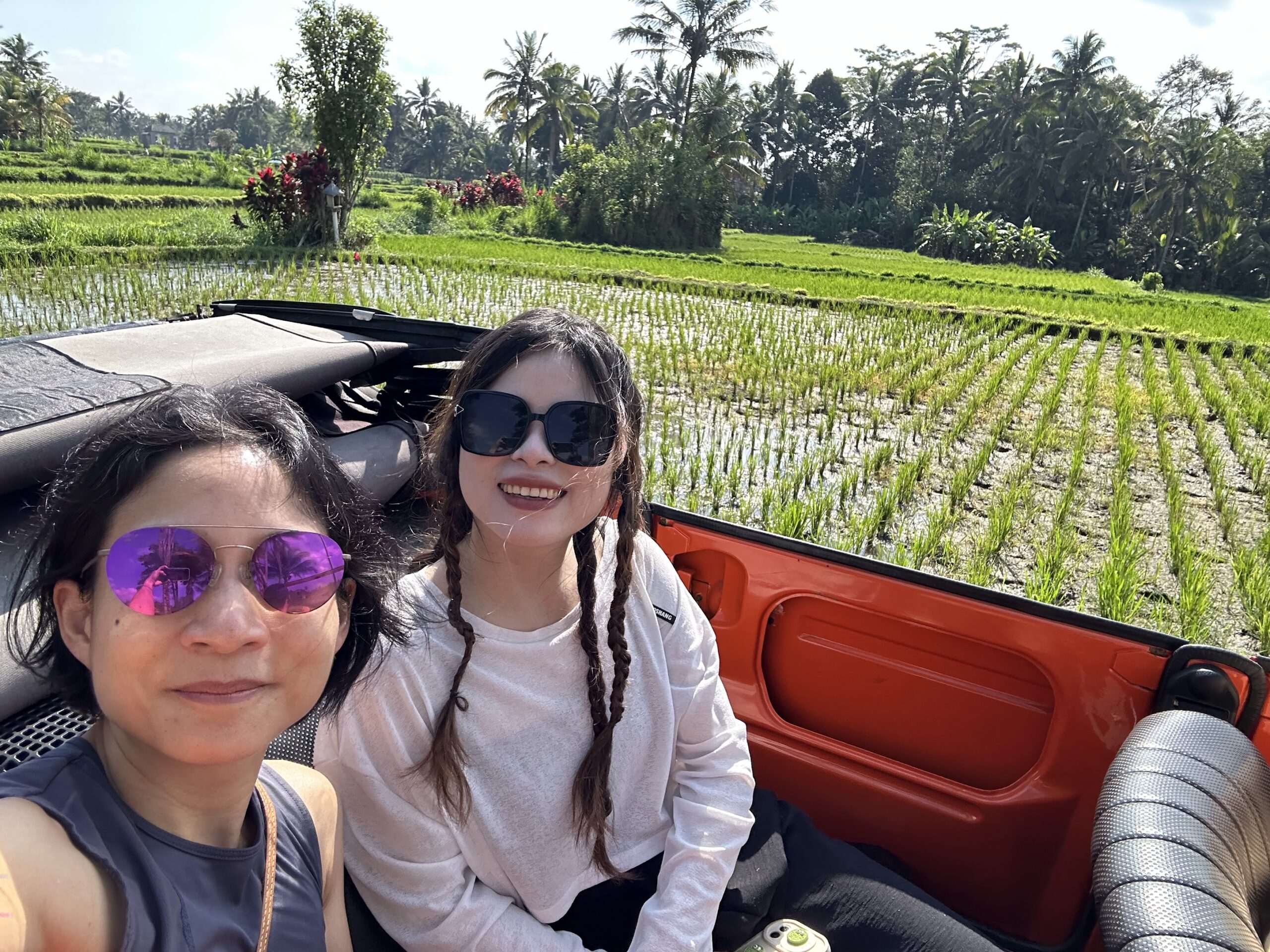 rice fields of Ceking Village