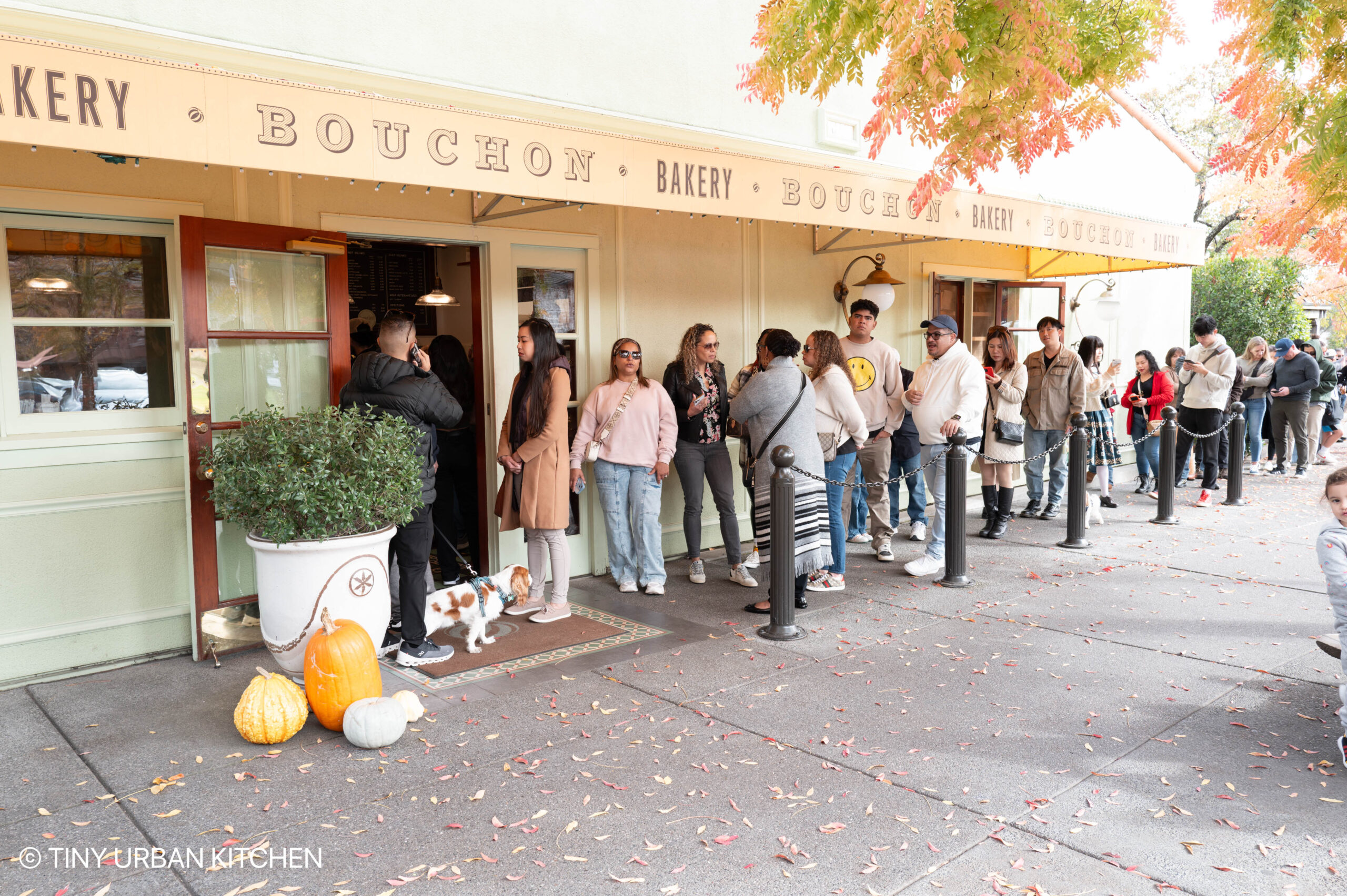 Bouchon Bakery Yountville California