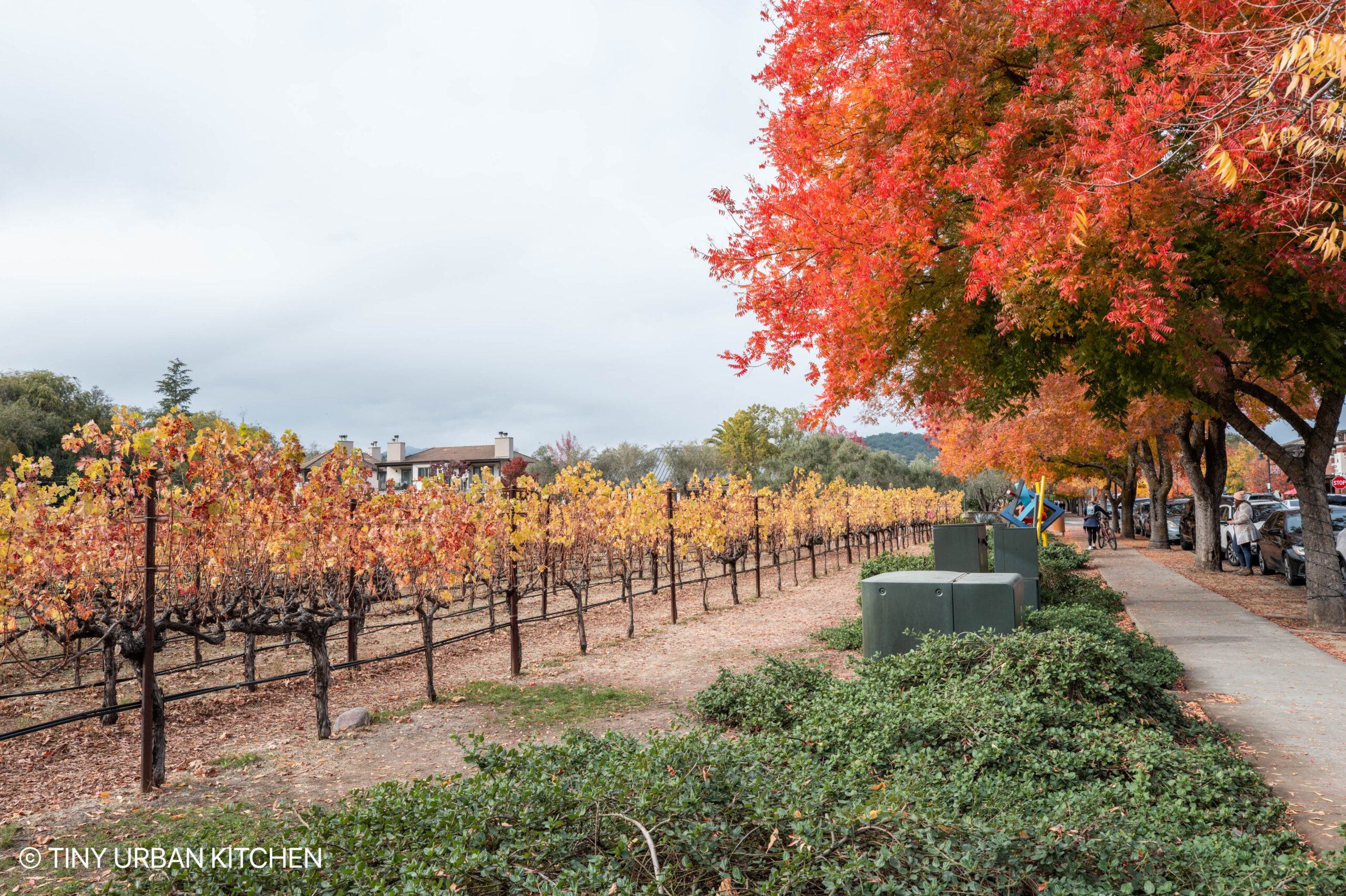 Napa, California