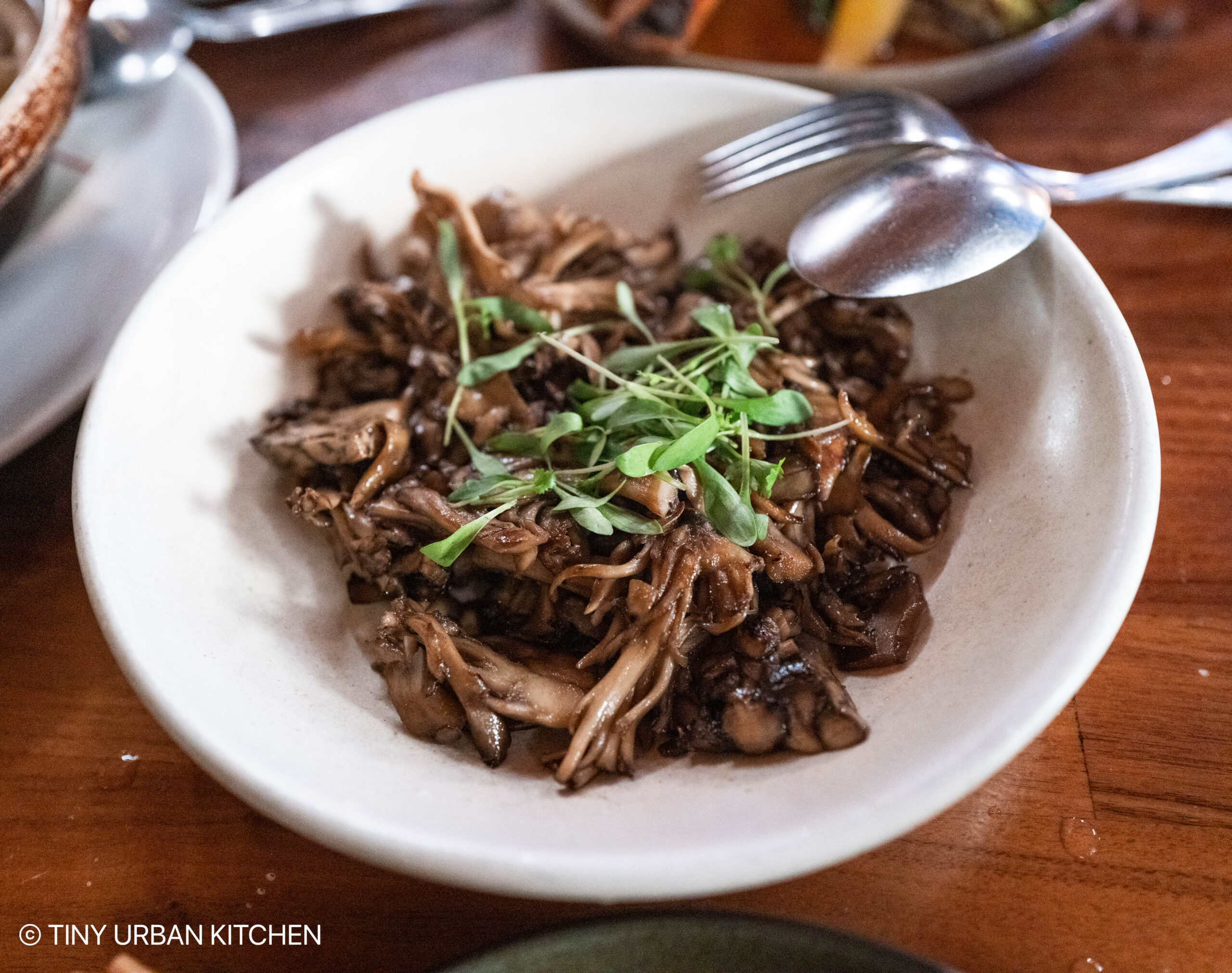 Bodega SF California (Vietnamese)