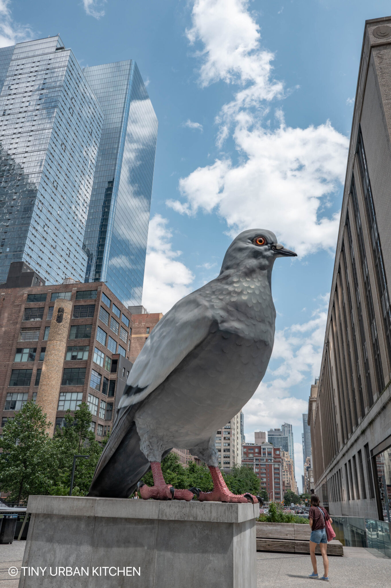 Hello New York! It's been WAY Too Long - Tiny Urban Kitchen