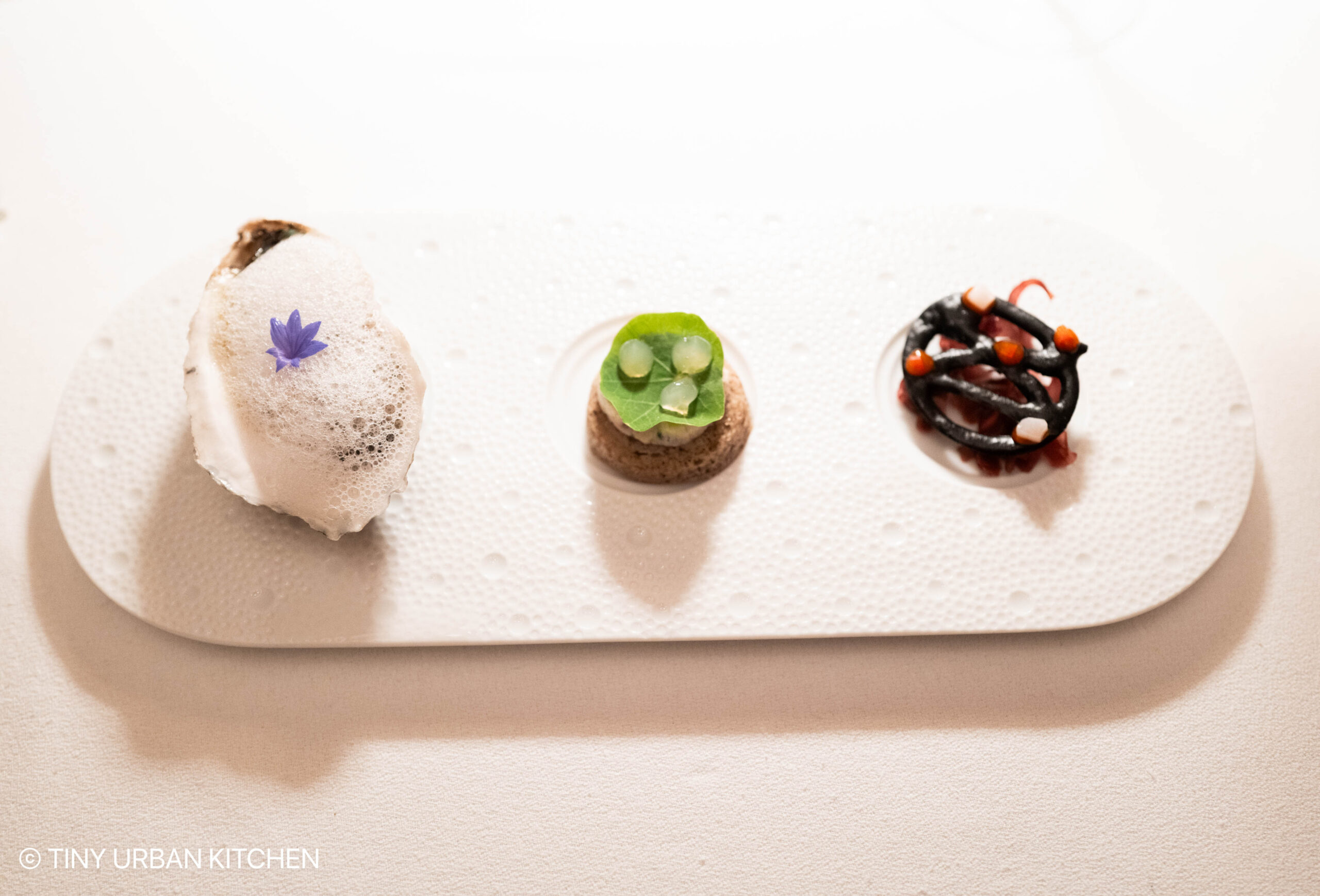 Aurelia at Castle Hill - Newport Rhode Island