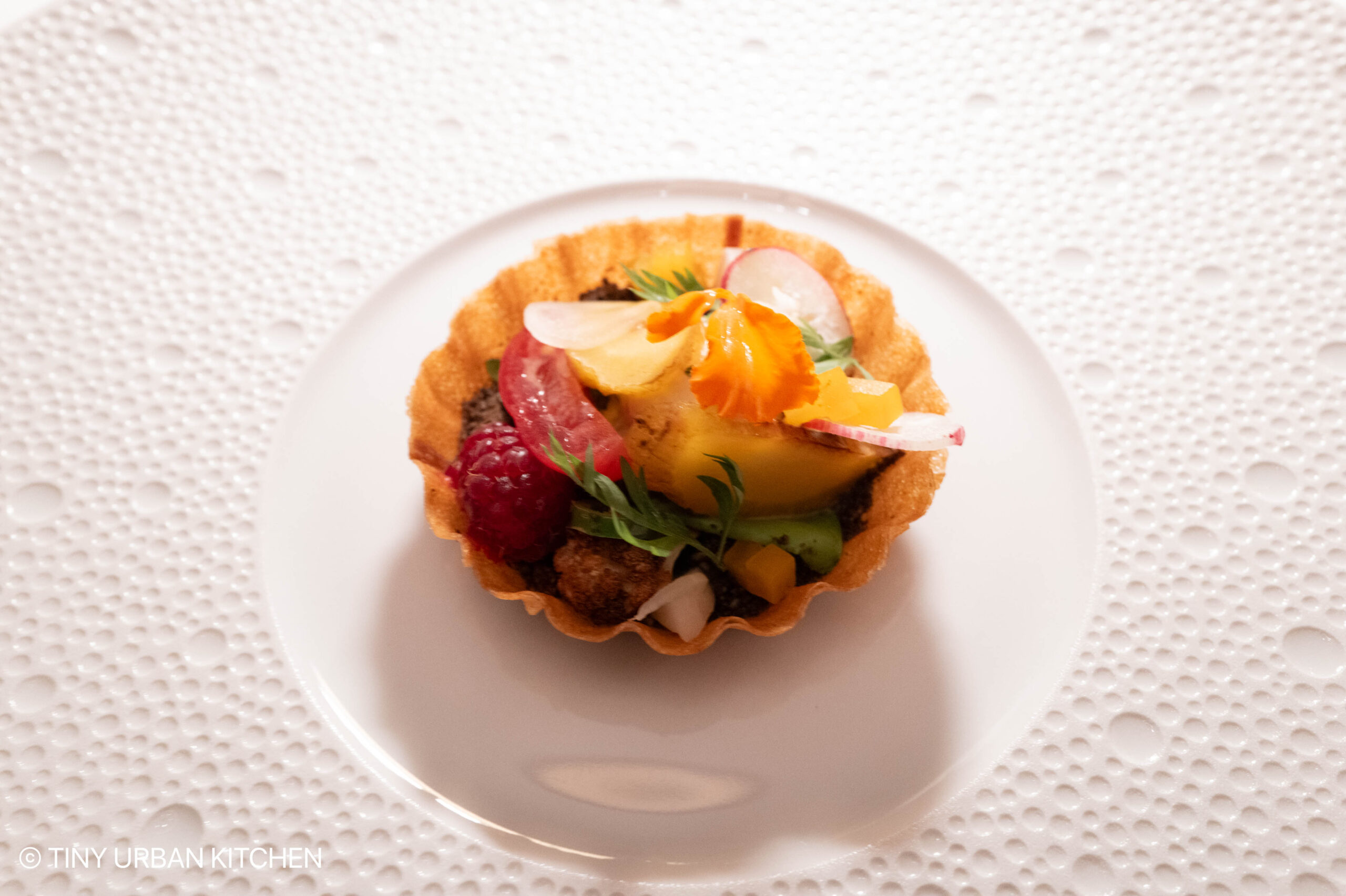 Aurelia at Castle Hill - Newport Rhode Island