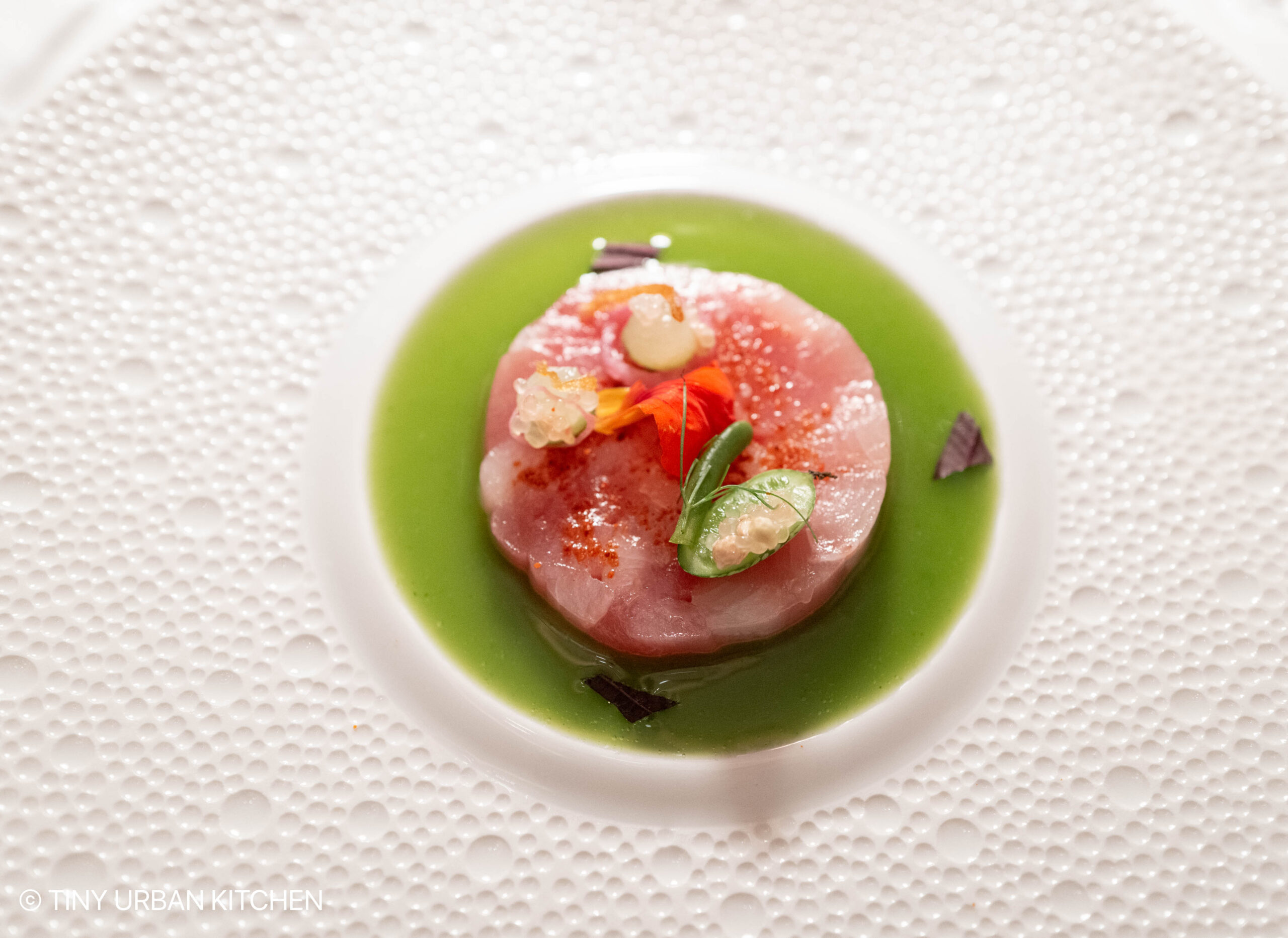 Aurelia at Castle Hill - Newport Rhode Island