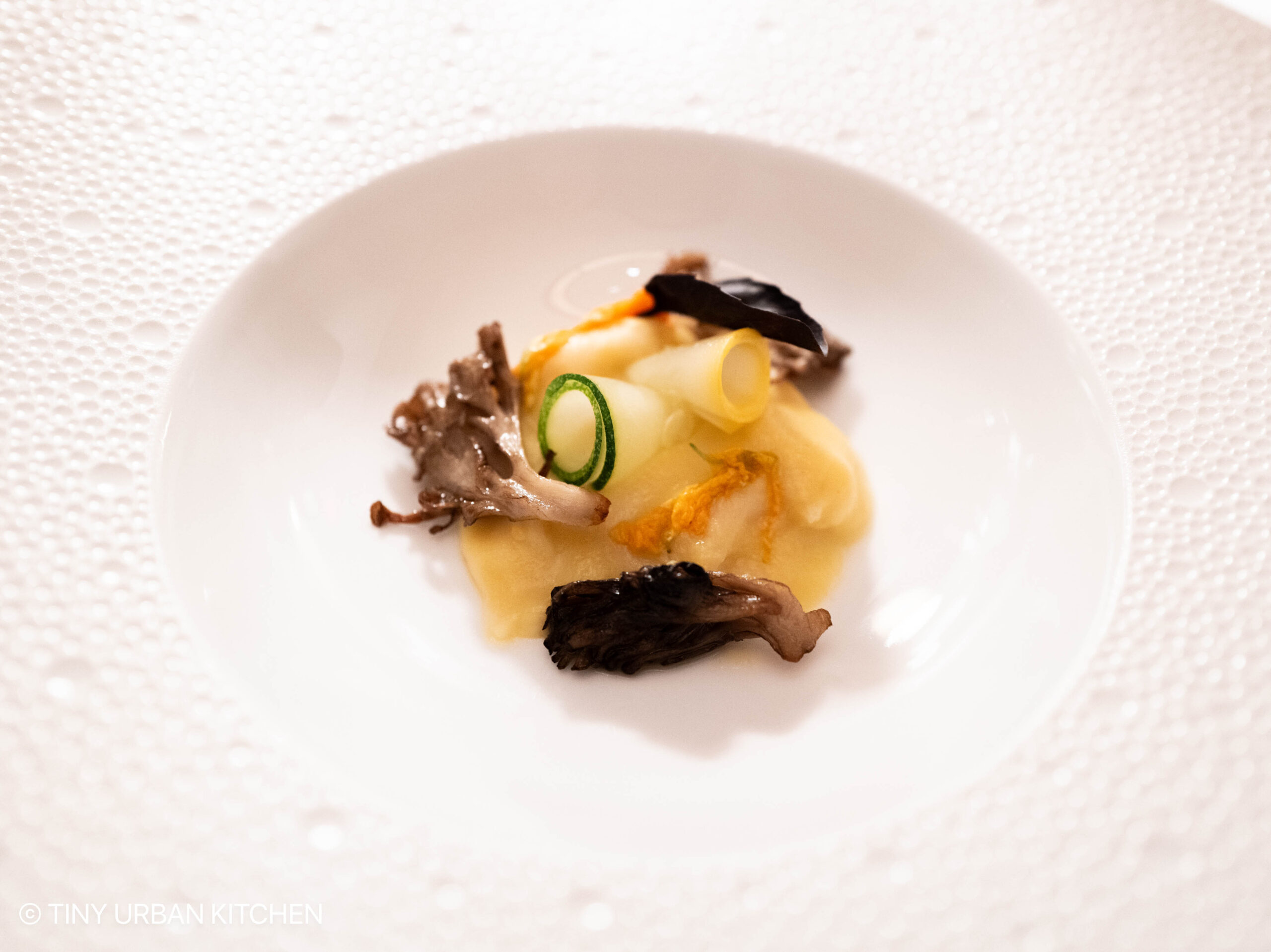 Aurelia at Castle Hill - Newport Rhode Island