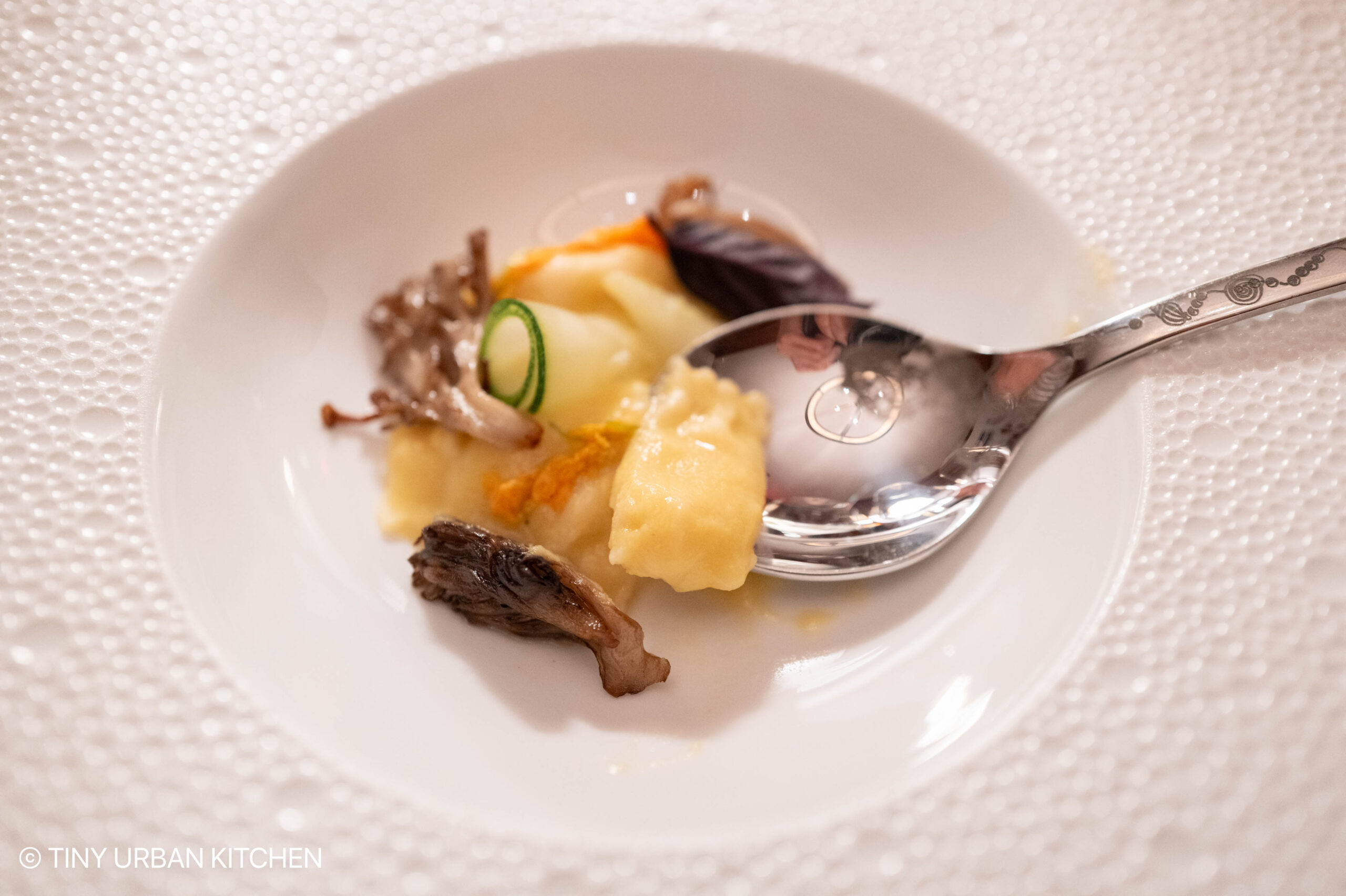 Aurelia at Castle Hill - Newport Rhode Island