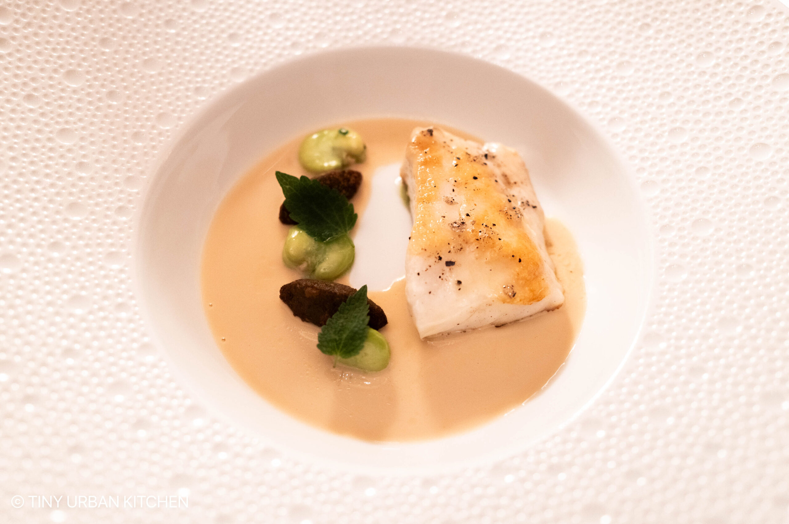 Aurelia at Castle Hill - Newport Rhode Island