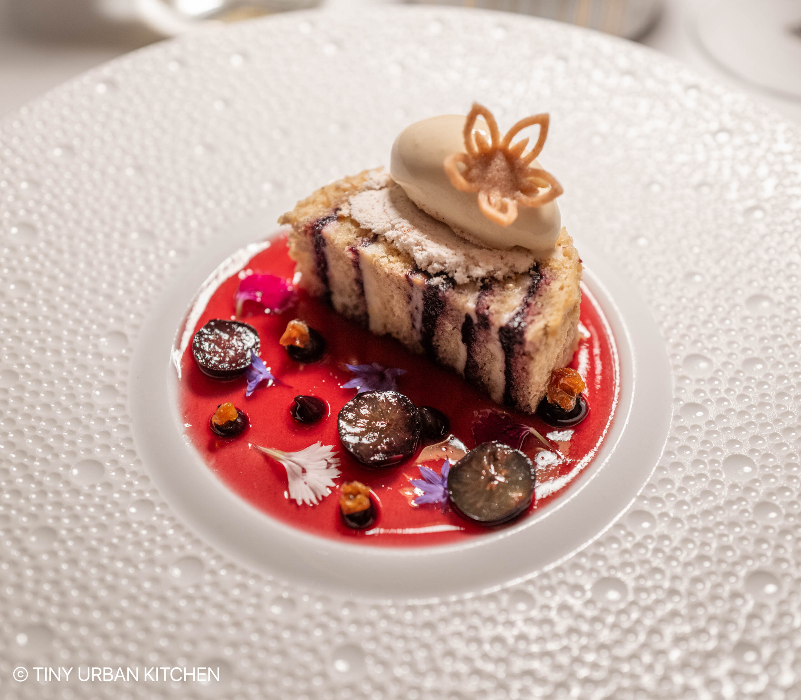 Aurelia at Castle Hill - Newport Rhode Island