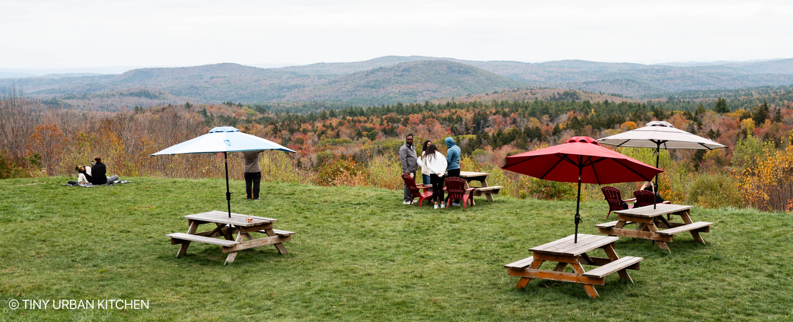 Hogback Mountain Lookout Vermont