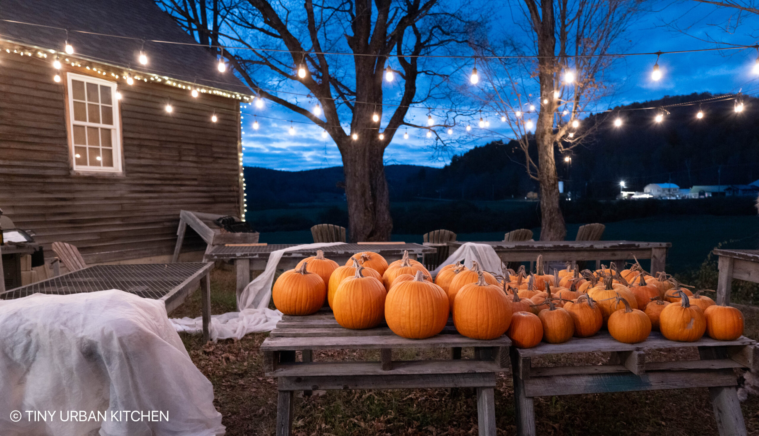 Vermont
